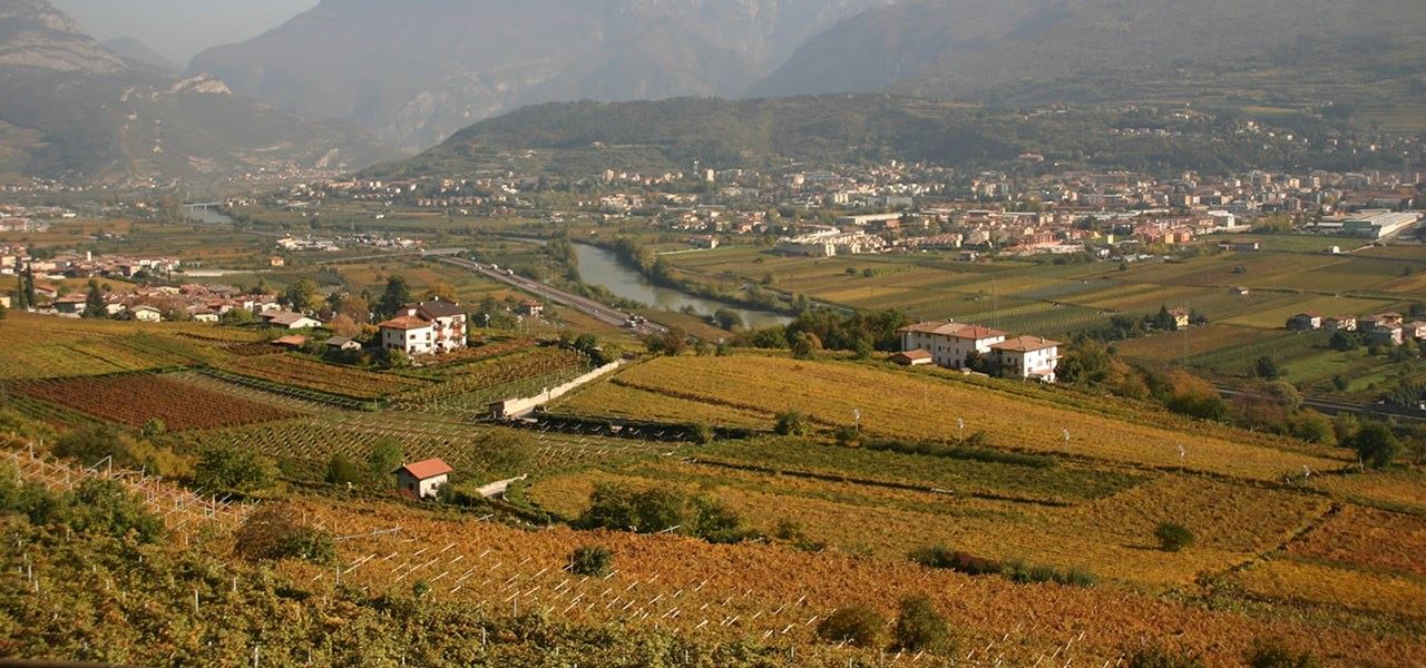 lagarina